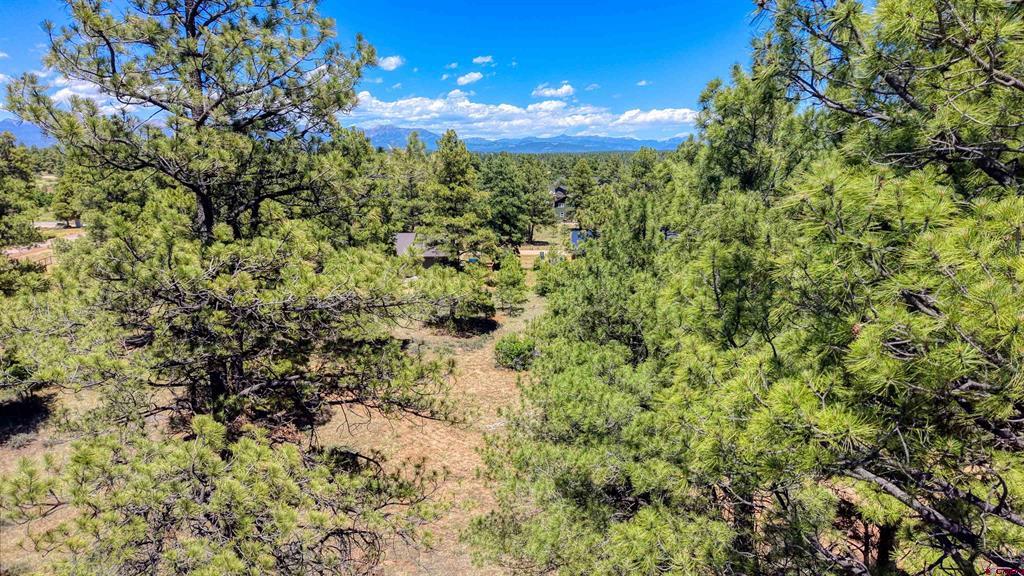 32 Monastery Court Pagosa Springs CO 81147