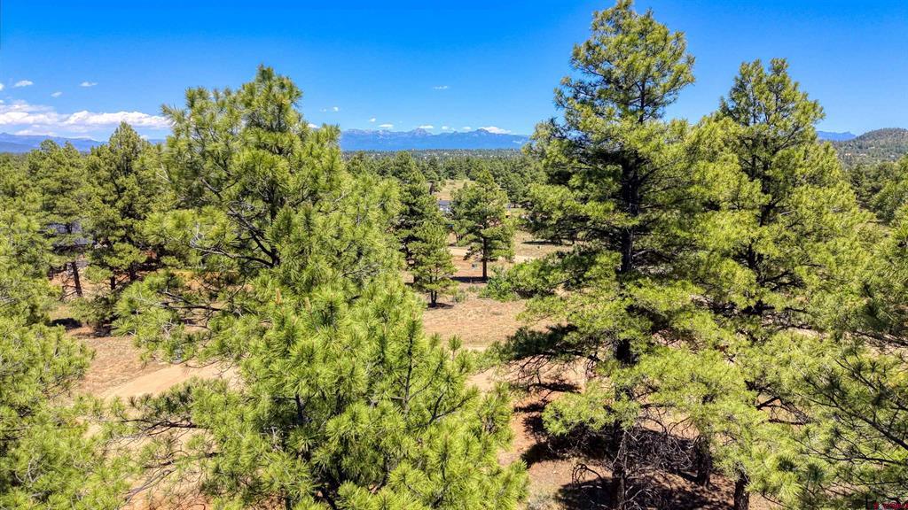 32 Monastery Court Pagosa Springs CO 81147