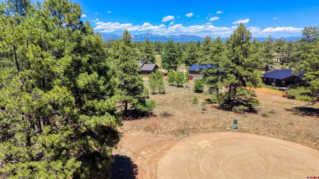 32 Monastery Court Pagosa Springs CO 81147