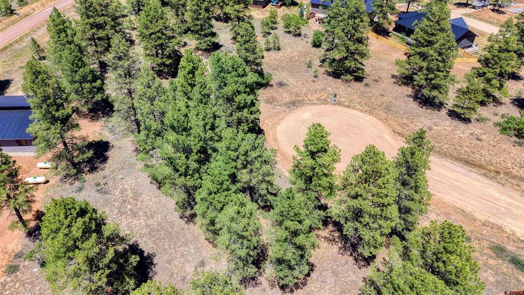 32 Monastery Court Pagosa Springs CO 81147