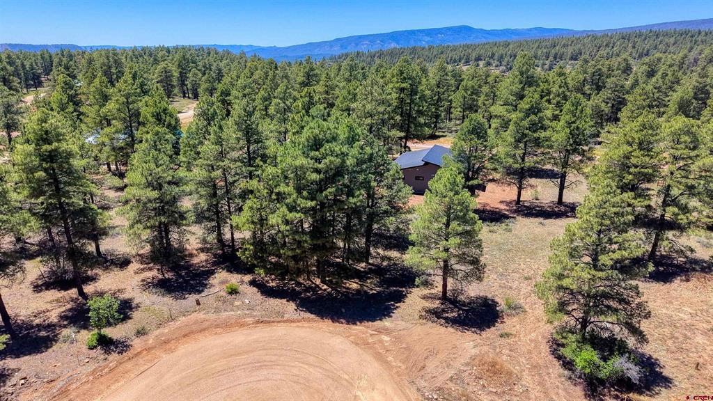 32 Monastery Court Pagosa Springs CO 81147