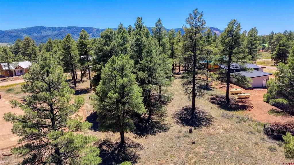 32 Monastery Court Pagosa Springs CO 81147