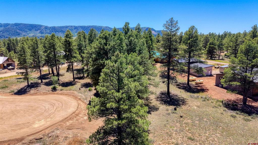 32 Monastery Court Pagosa Springs CO 81147