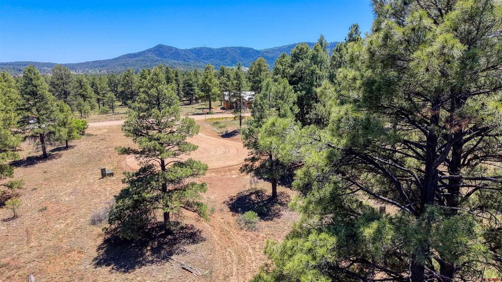 32 Monastery Court Pagosa Springs CO 81147