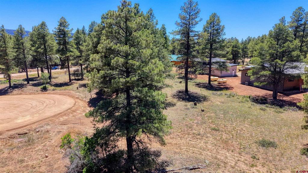 32 Monastery Court Pagosa Springs CO 81147