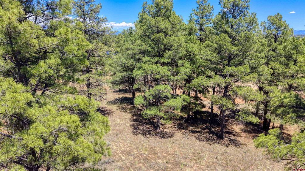 32 Monastery Court Pagosa Springs CO 81147