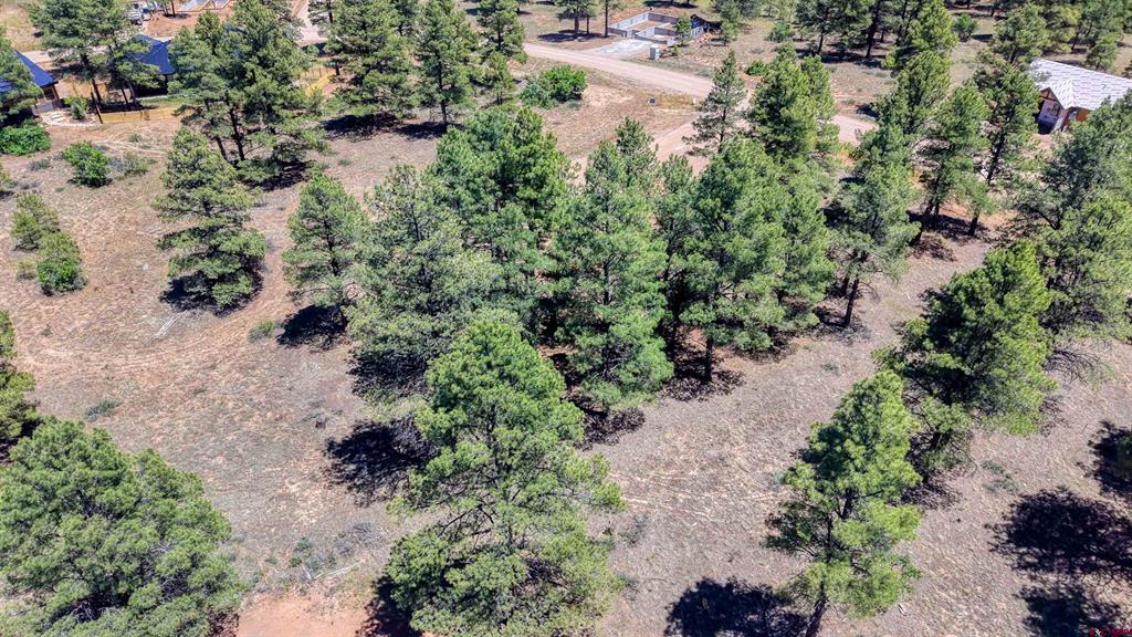 32 Monastery Court Pagosa Springs CO 81147