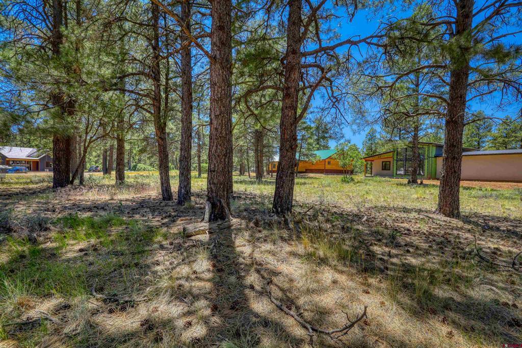 32 Monastery Court Pagosa Springs CO 81147