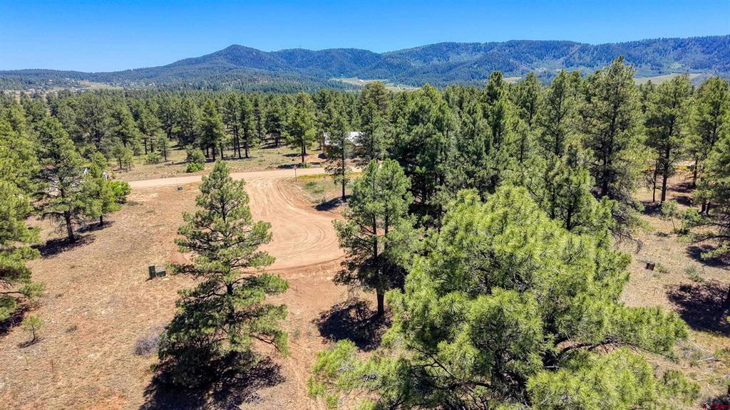 32 Monastery Court Pagosa Springs CO 81147