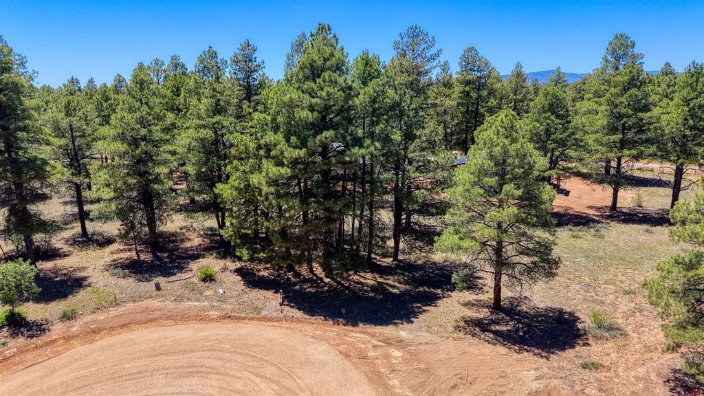 32 Monastery Court Pagosa Springs CO 81147