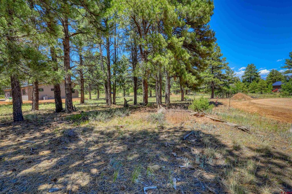 32 Monastery Court Pagosa Springs CO 81147