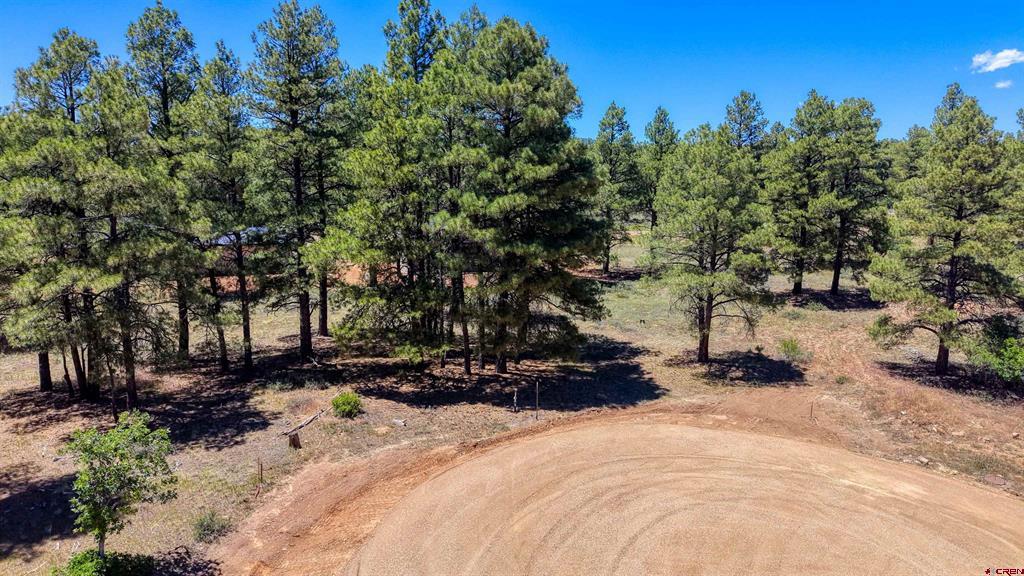 32 Monastery Court Pagosa Springs CO 81147