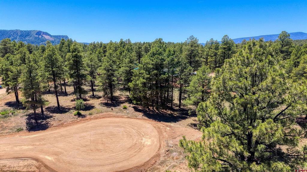 32 Monastery Court Pagosa Springs CO 81147