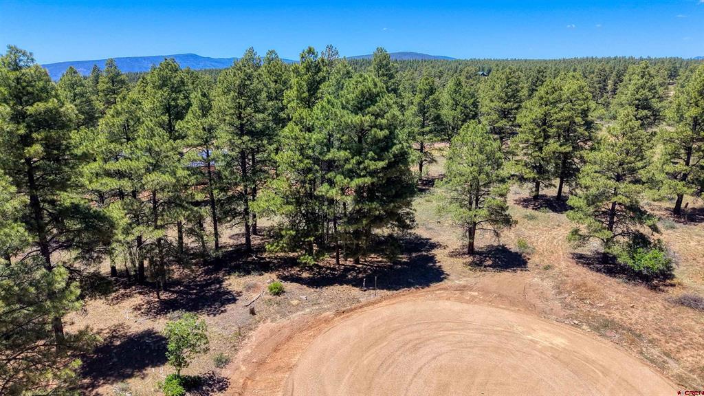 32 Monastery Court Pagosa Springs CO 81147
