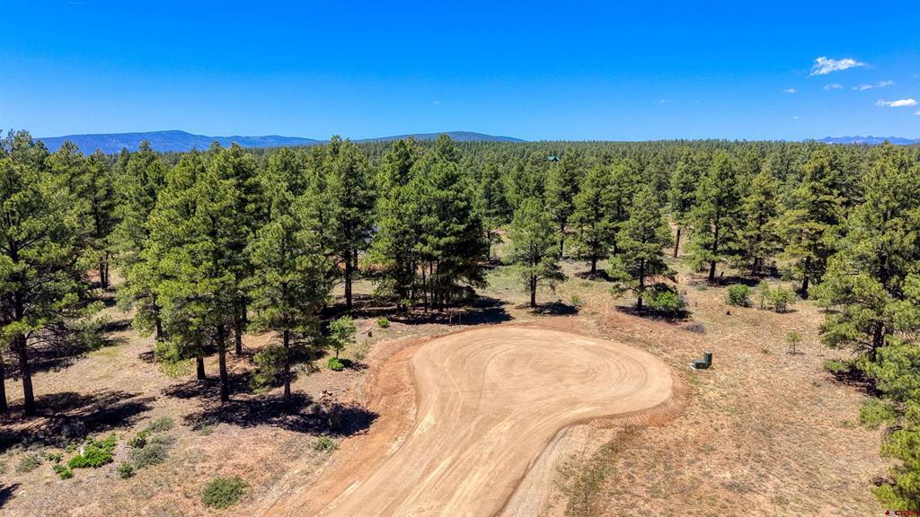 32 Monastery Court Pagosa Springs CO 81147