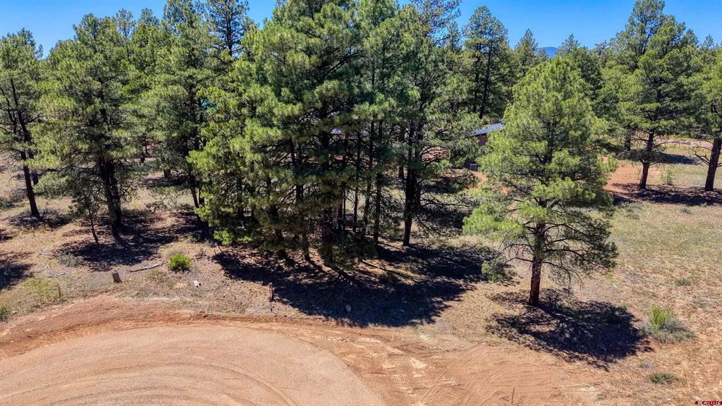 32 Monastery Court Pagosa Springs CO 81147