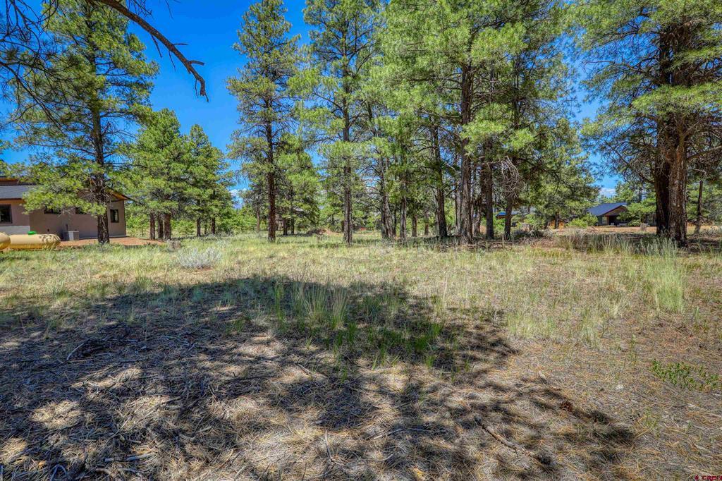 32 Monastery Court Pagosa Springs CO 81147
