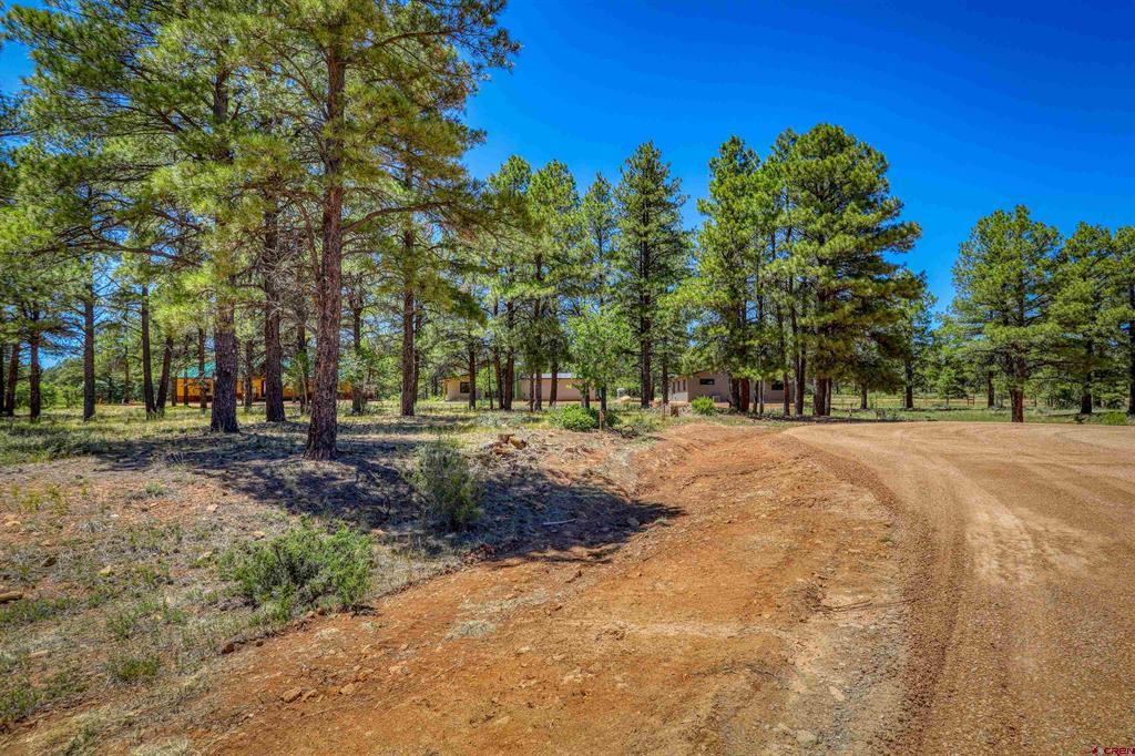32 Monastery Court Pagosa Springs CO 81147