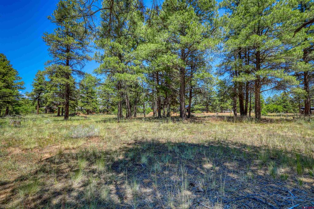 32 Monastery Court Pagosa Springs CO 81147
