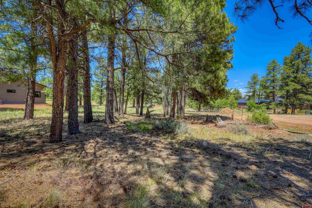 32 Monastery Court Pagosa Springs CO 81147