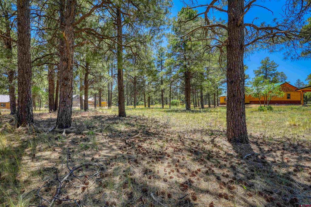 32 Monastery Court Pagosa Springs CO 81147