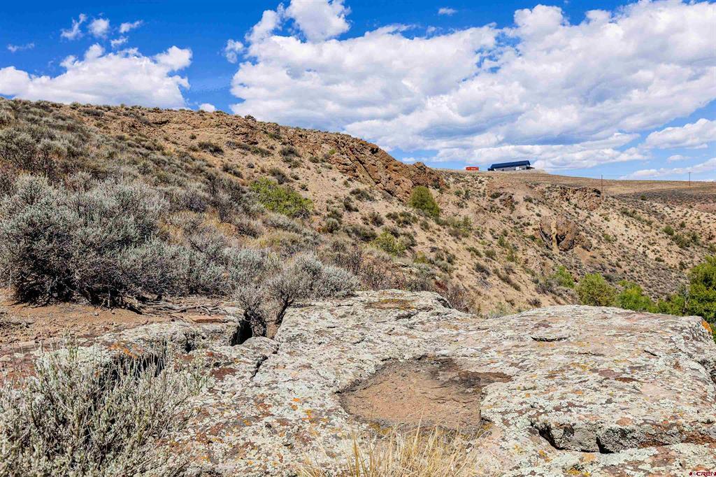 Tbd County Road 16 Gunnison CO 81230