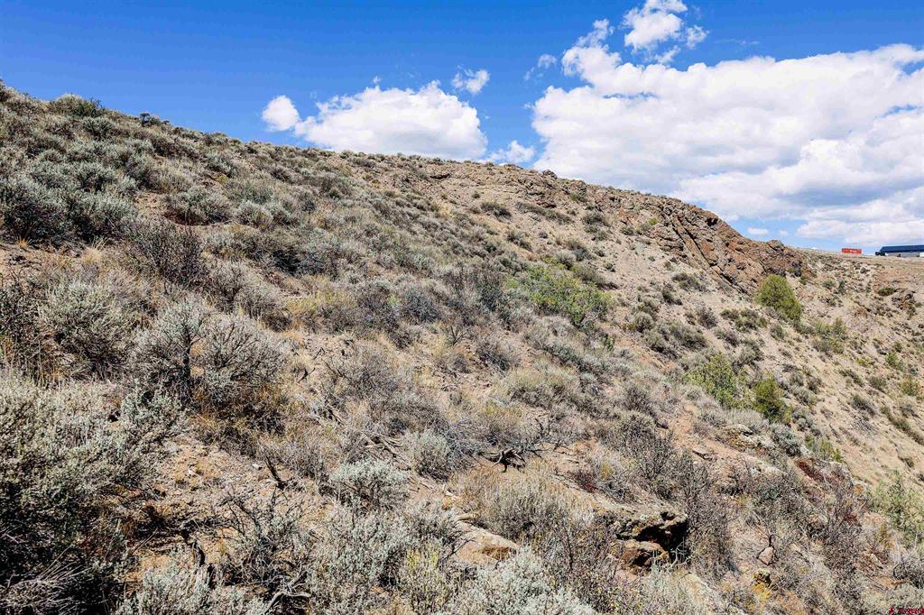 Tbd County Road 16 Gunnison CO 81230