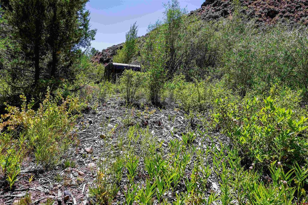 Tbd County Road 16 Gunnison CO 81230