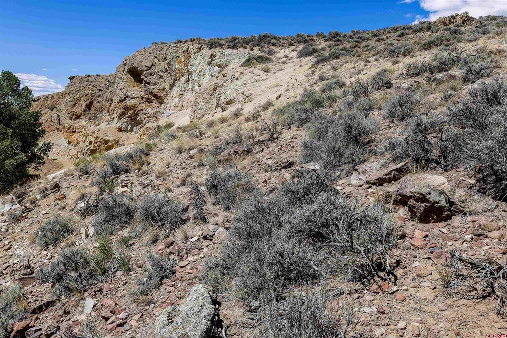 Tbd County Road 16 Gunnison CO 81230