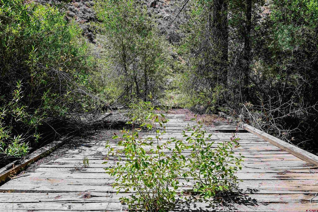Tbd County Road 16 Gunnison CO 81230