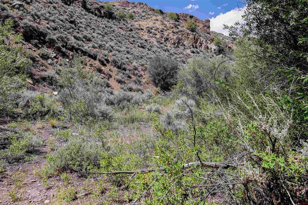 Tbd County Road 16 Gunnison CO 81230