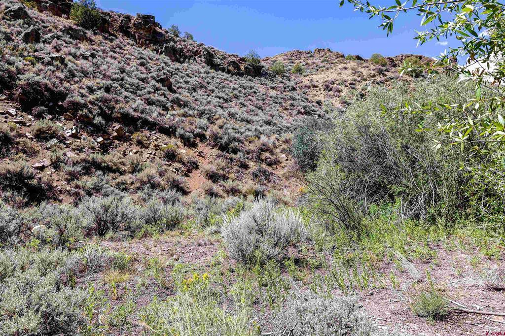 Tbd County Road 16 Gunnison CO 81230