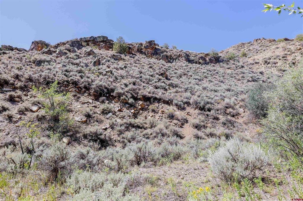 Tbd County Road 16 Gunnison CO 81230