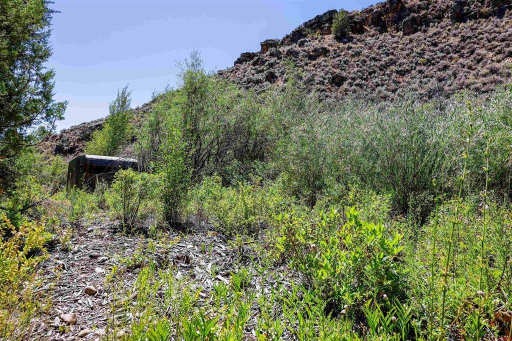 Tbd County Road 16 Gunnison CO 81230