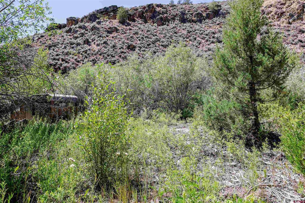 Tbd County Road 16 Gunnison CO 81230