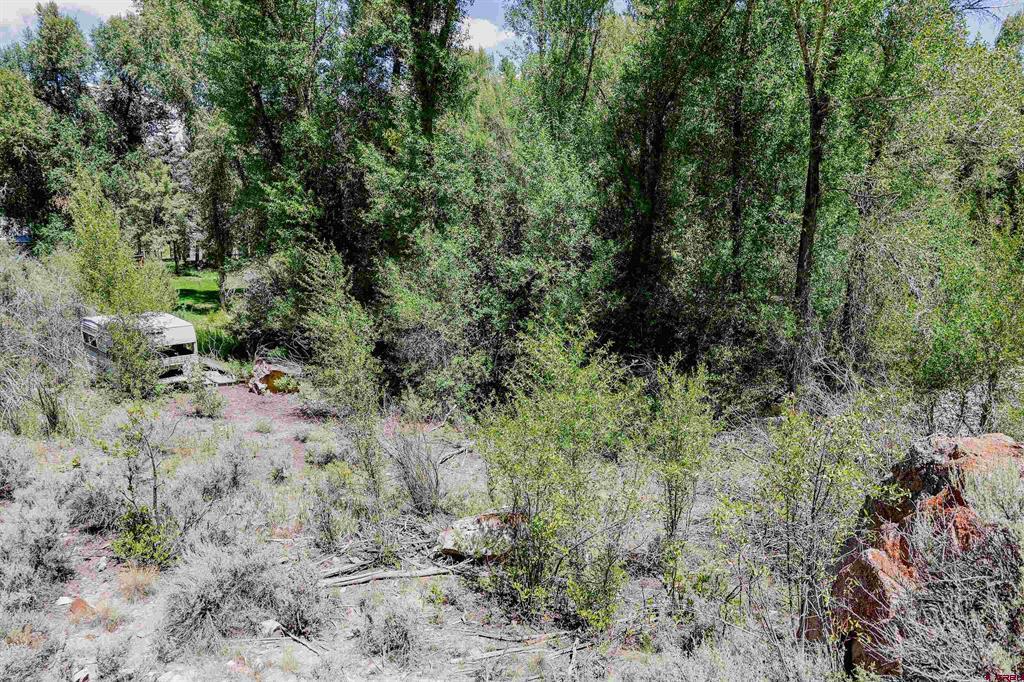 Tbd County Road 16 Gunnison CO 81230