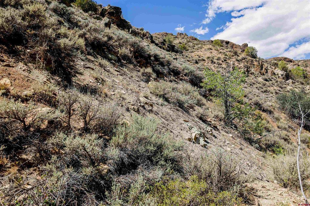 Tbd County Road 16 Gunnison CO 81230