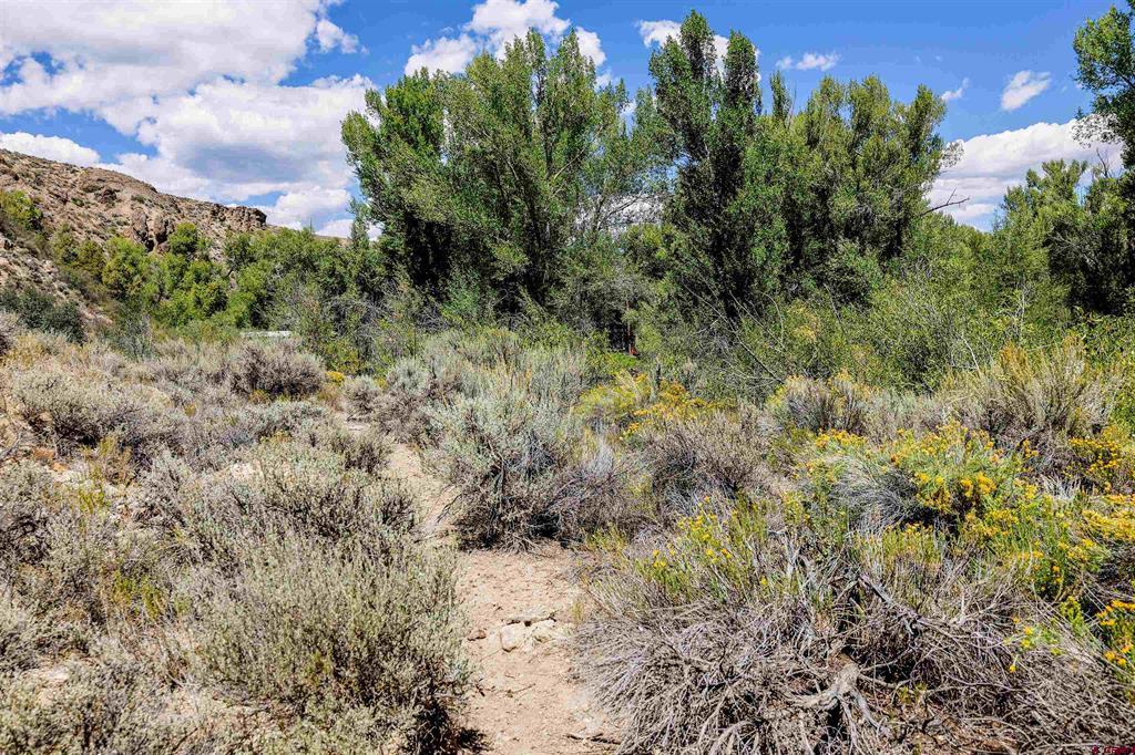 Tbd County Road 16 Gunnison CO 81230