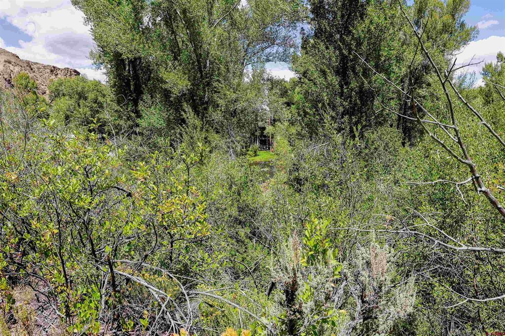 Tbd County Road 16 Gunnison CO 81230