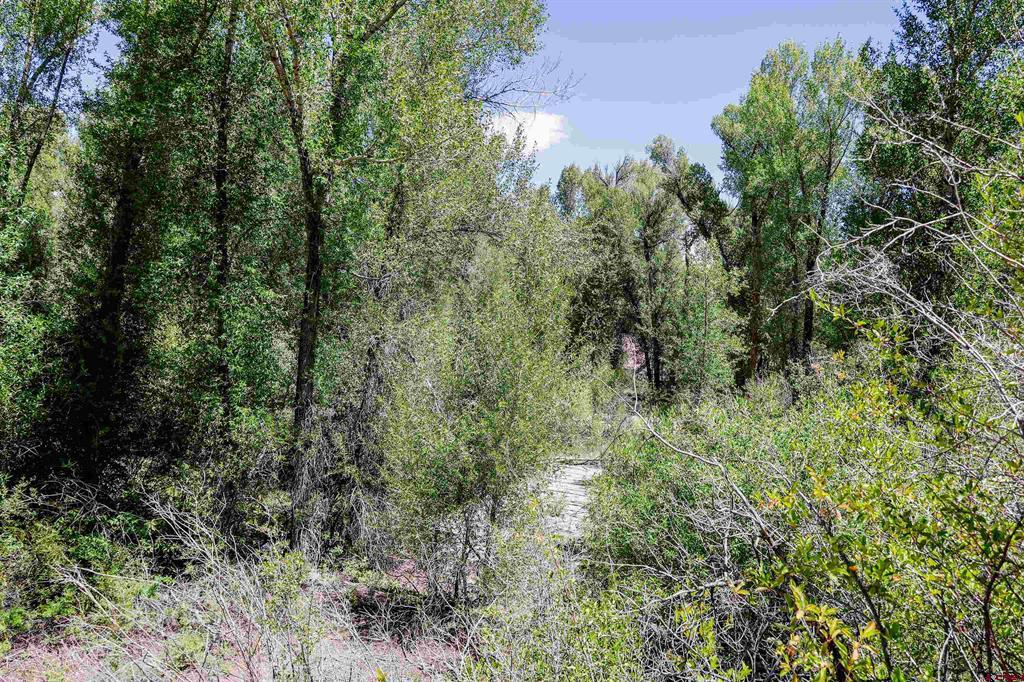 Tbd County Road 16 Gunnison CO 81230