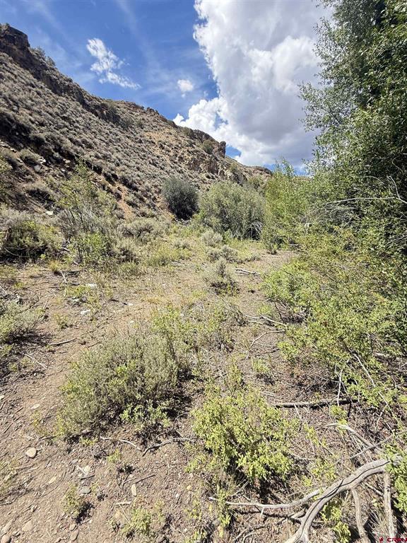 Tbd County Road 16 Gunnison CO 81230