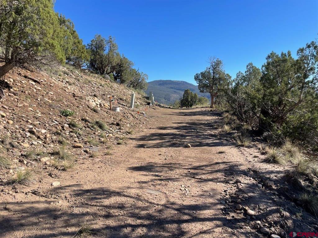 440 Run Around Road Arboles CO 81121