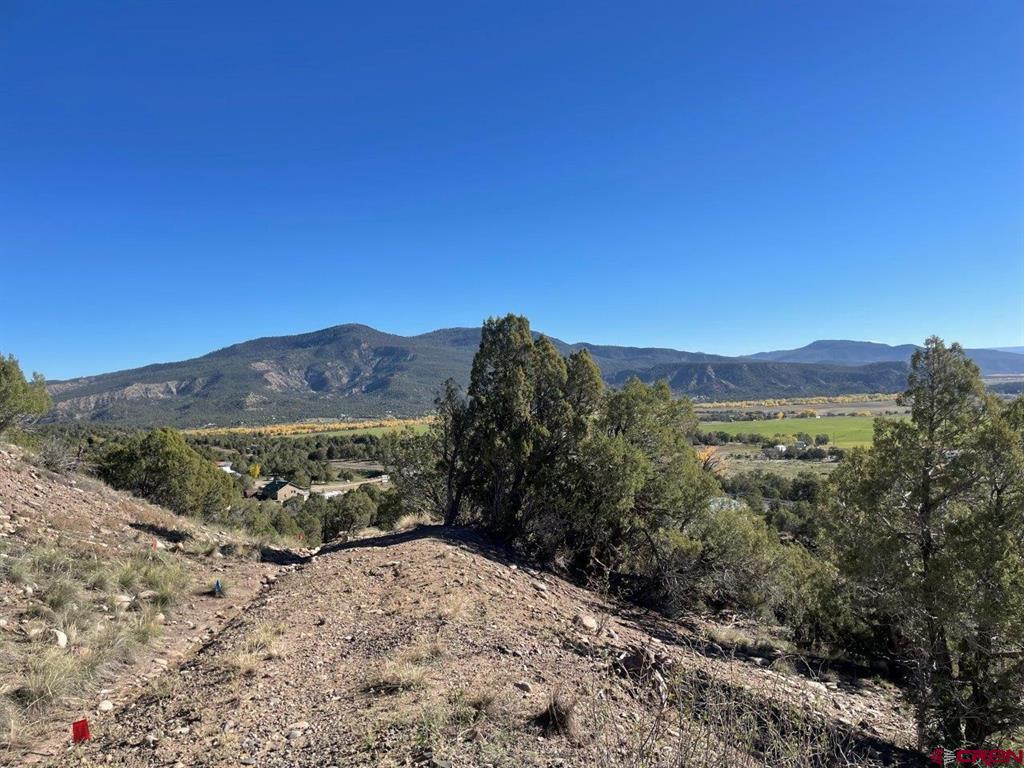 440 Run Around Road Arboles CO 81121