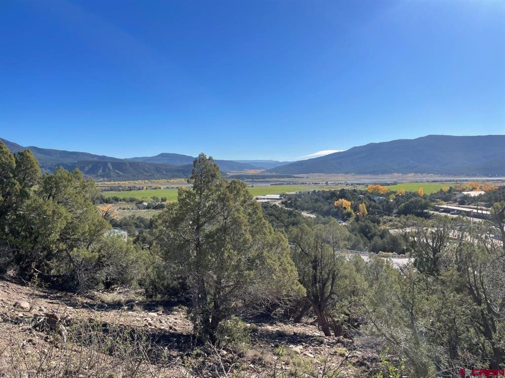 440 Run Around Road Arboles CO 81121