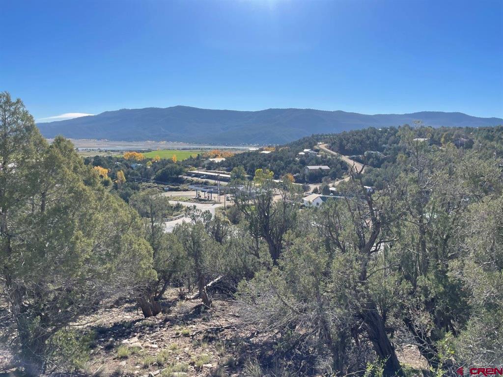 440 Run Around Road Arboles CO 81121
