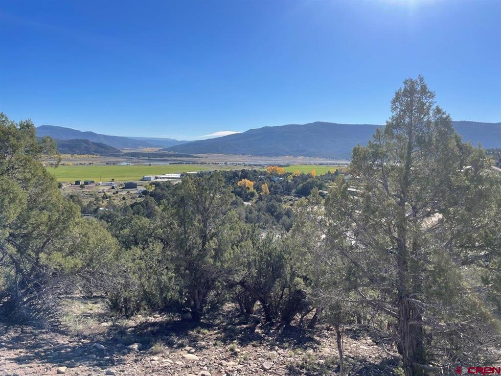440 Run Around Road Arboles CO 81121