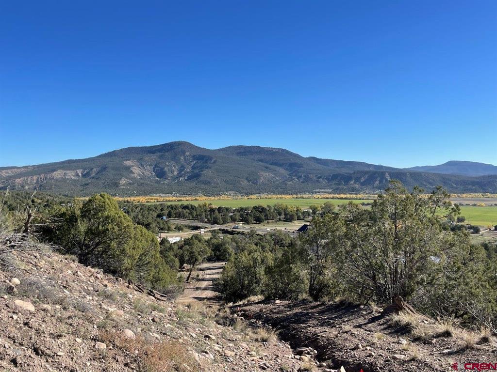 440 Run Around Road Arboles CO 81121