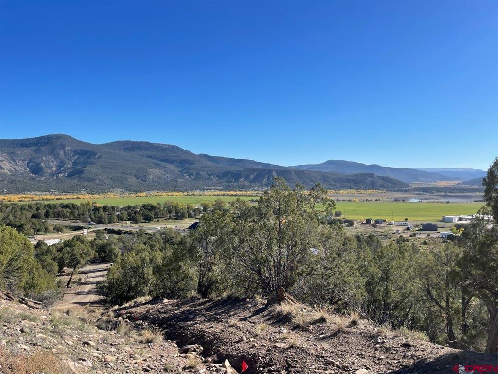 440 Run Around Road Arboles CO 81121