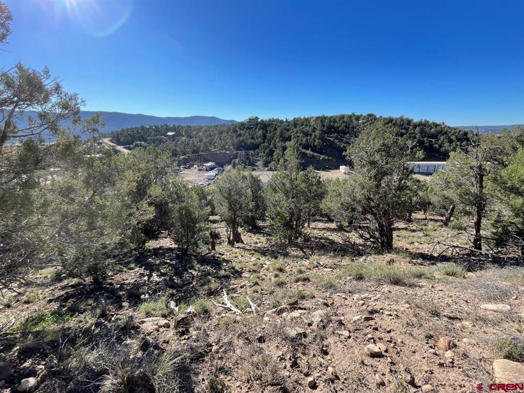 440 Run Around Road Arboles CO 81121