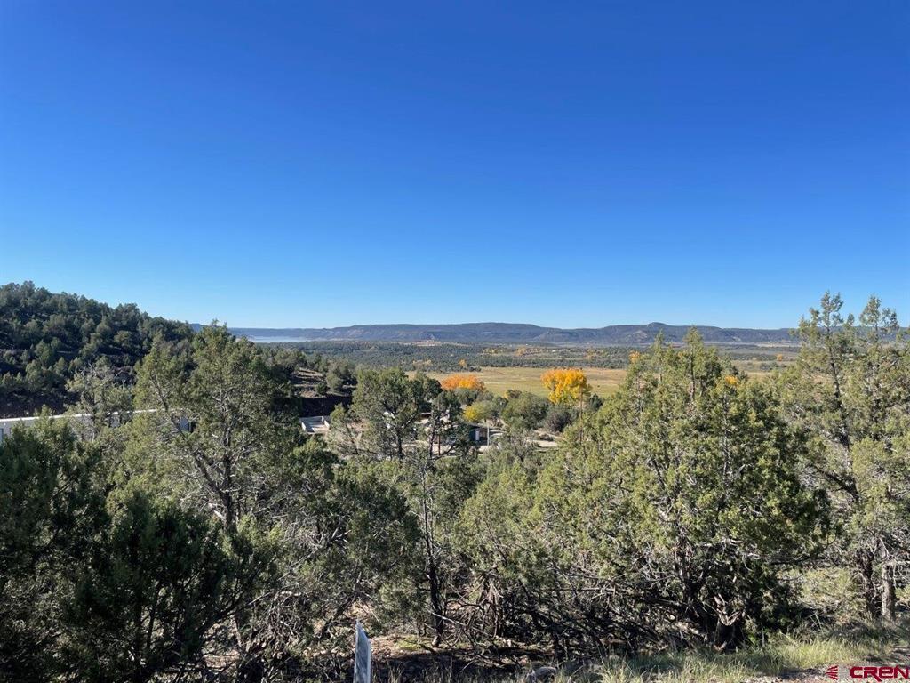 440 Run Around Road Arboles CO 81121